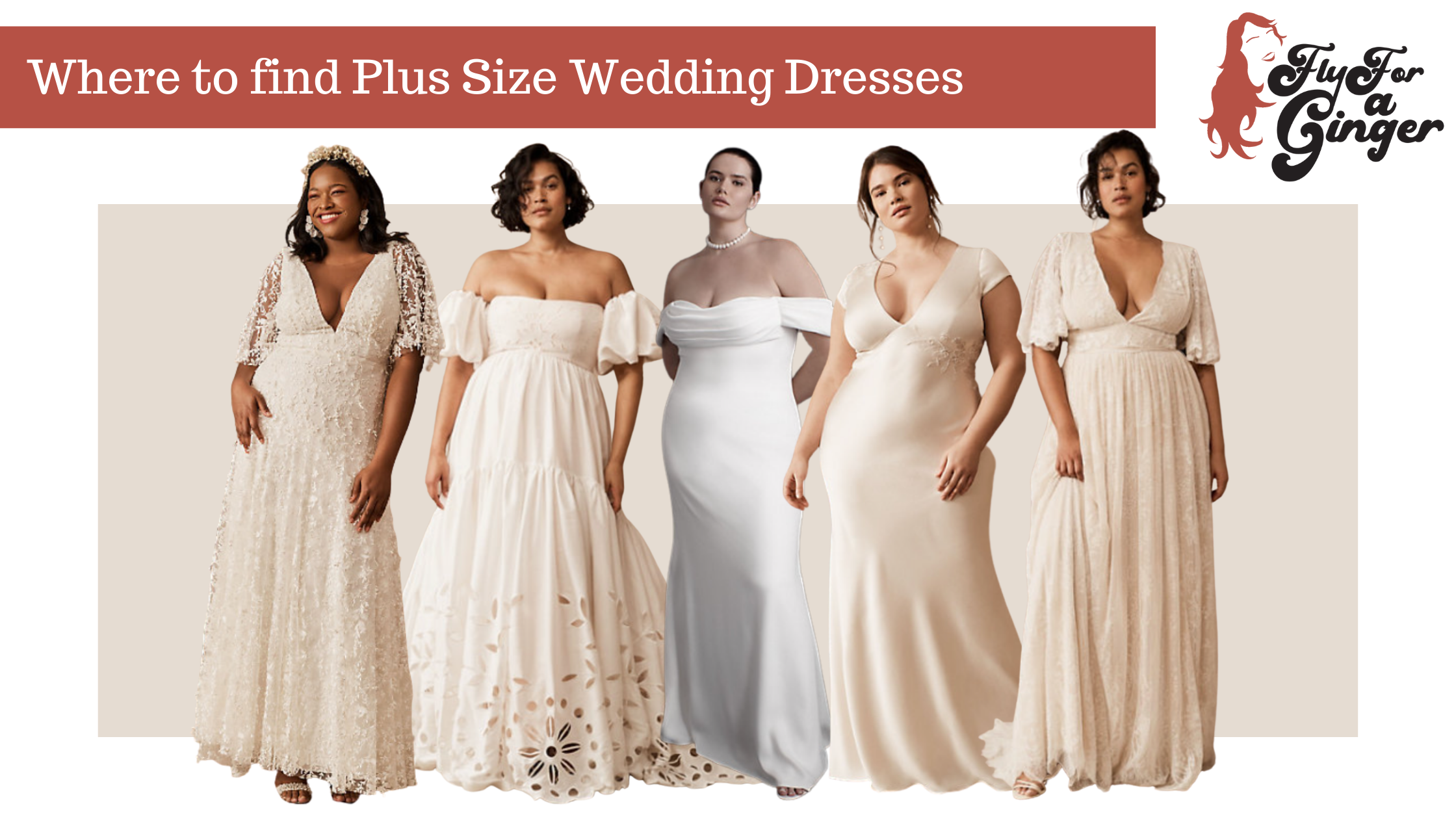 Where to Find Plus Size Wedding Dresses // Best Wedding Dresses for ...