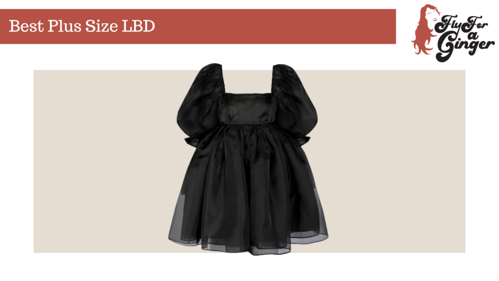 plus size LBD