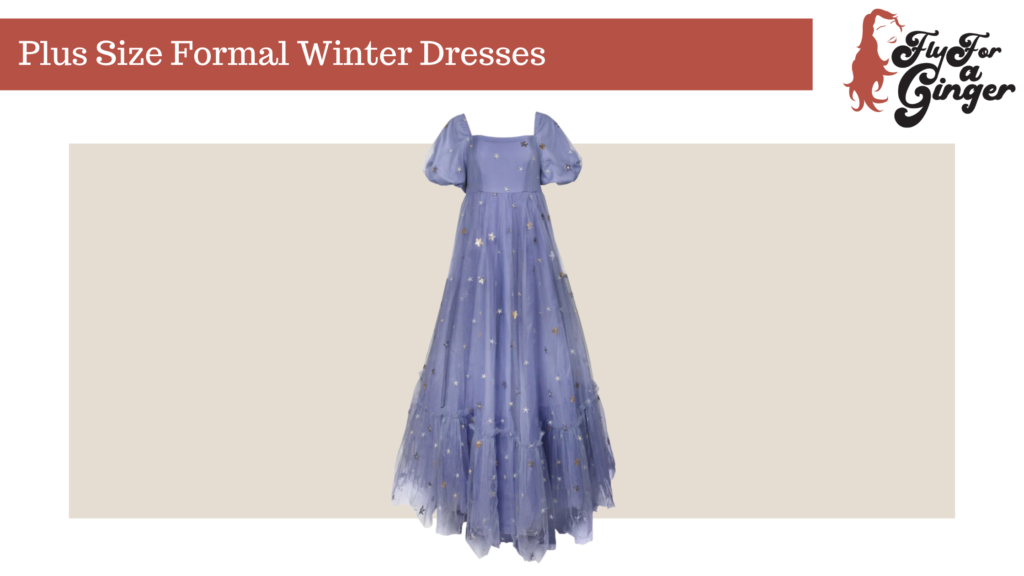 plus size formal winter dresses